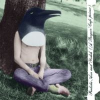 Penguin Cafe Orchestra - Preludes, Airs & Yodels