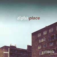 Knucks - ALPHA PLACE