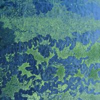 Jana Winderen - Submerged