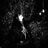M&auml;leficentt - Night of Eternal Darkness