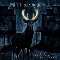 Pattern-Seeking Animals - Passing Through