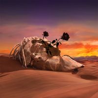 Madd - Black Rose