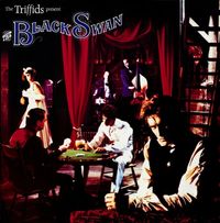 The Triffids - The Black Swan