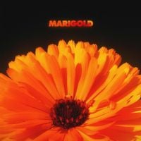 Alex Isley & Jack Dine - Marigold