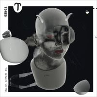 TONED - The Private Sector