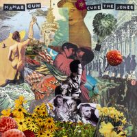 Mamas Gun - Cure The Jones