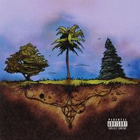 WateRR - Truth & Falsehood Strangely Mixed