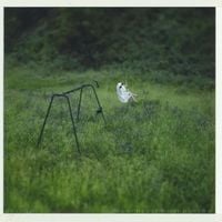 Manchester Orchestra & Phoebe Bridgers - The Gold (Phoebe Bridgers Version)