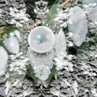 Mimi Abbot - Nieve