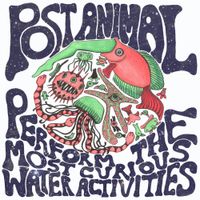 Post Animal - Post Animal Perform the Most Curious Water Activities