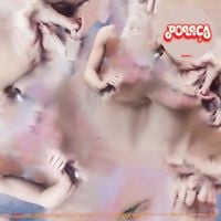 POLI&Ccedil;A - Madness