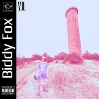 Biddy Fox - Biddy Fox VII