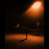 Sadness - tortuga