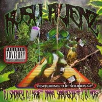DJ Smokey - Kush Alienz