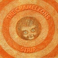 The Chameleons - Strip