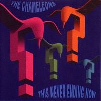 The Chameleons - This Never Ending Now