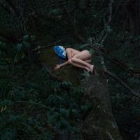 Un R&ecirc;ve - Como &aacute;rboles al cielo... encuentro