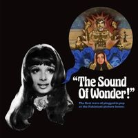 Various Artists - The Sound of Wonder! The First Wave of Plugged-in Pop at the Pakistani Picture House