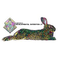 Mindtality - Developmental Expedition
