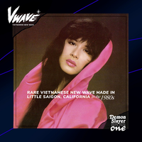 Various Artists - Vwave - Rare Vietnamese New Wave 1980s