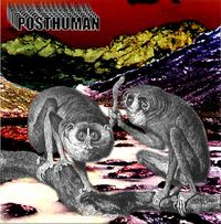 Posthuman - The Uncertainty of the Monkey