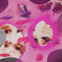 Arca - KiCk: ThE cOmPlEtE cYcLe