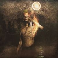 Viscera - Sungazer