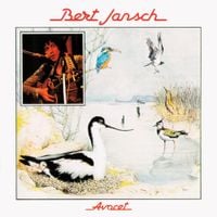 Bert Jansch - Avocet