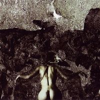 Rainroom - Monochrome of Feathers