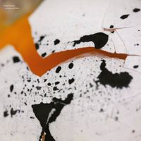 Toshiya Tsunoda - Landscape and Voice