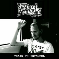 Southern Spruce - Train to Istanbul