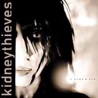 Kidneythieves - Zer&oslash;space