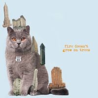 The Brian Jonestown Massacre - Fire Doesn't Grow on Trees