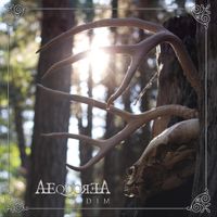 Aequorea - Dim