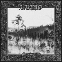 Vaino - Mets&auml;npeitto