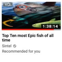Sintel - Top Ten most Epic fish of all time