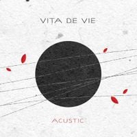 Vița De Vie - Acustic