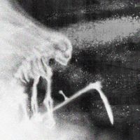 grayera - wraith