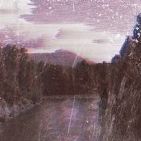 grayera - forest of aureal