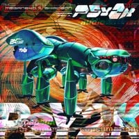 Meganeko & Shirobon - PSY2K