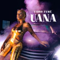 UANA - Vidro Fum&ecirc;