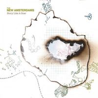 The New Amsterdams - Story Like a Scar