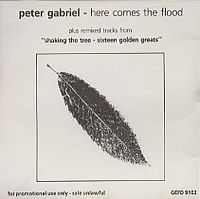 Peter Gabriel - Here Comes the Flood
