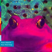 Peter Gabriel - Kiss That Frog