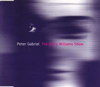 Peter Gabriel - The Barry Williams Show