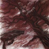 Veil - Sombre