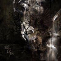 Vermilion-D Alice Syndrome - 鴉/IX