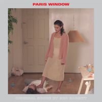 Ben Babbitt - Paris Window