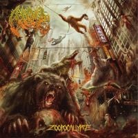 Atoll - Zoopocalypse