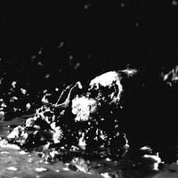 Bone Fetish - Buried